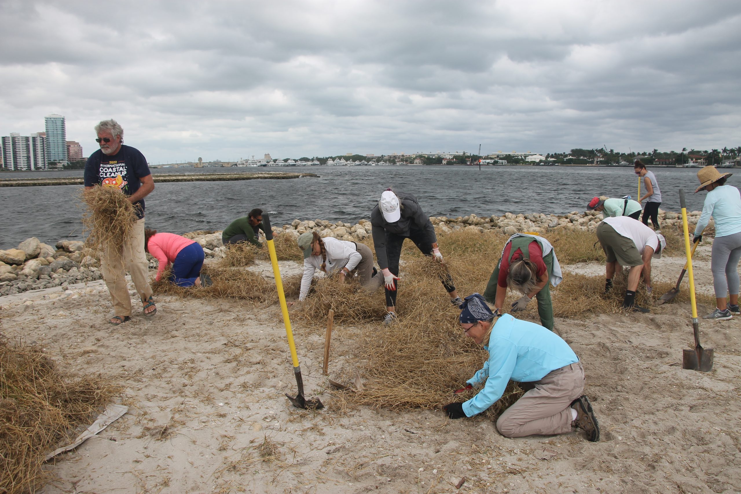 Tarpon Cove Weeding for the Birds action photo